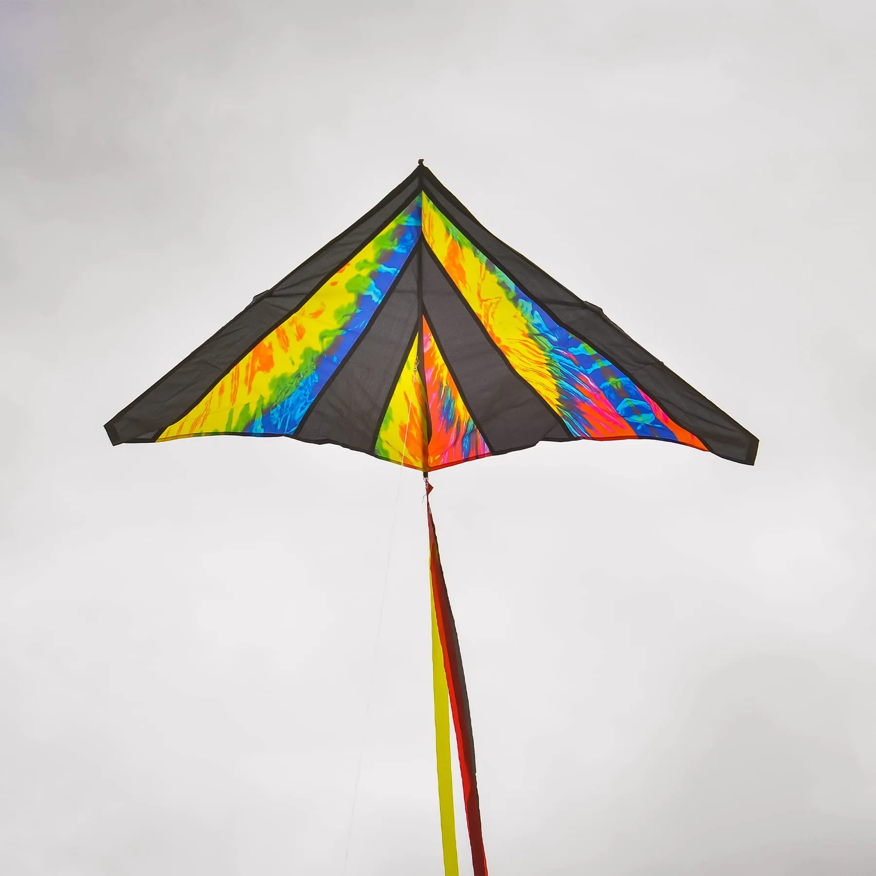 48" Delta Kite - Tie Dye