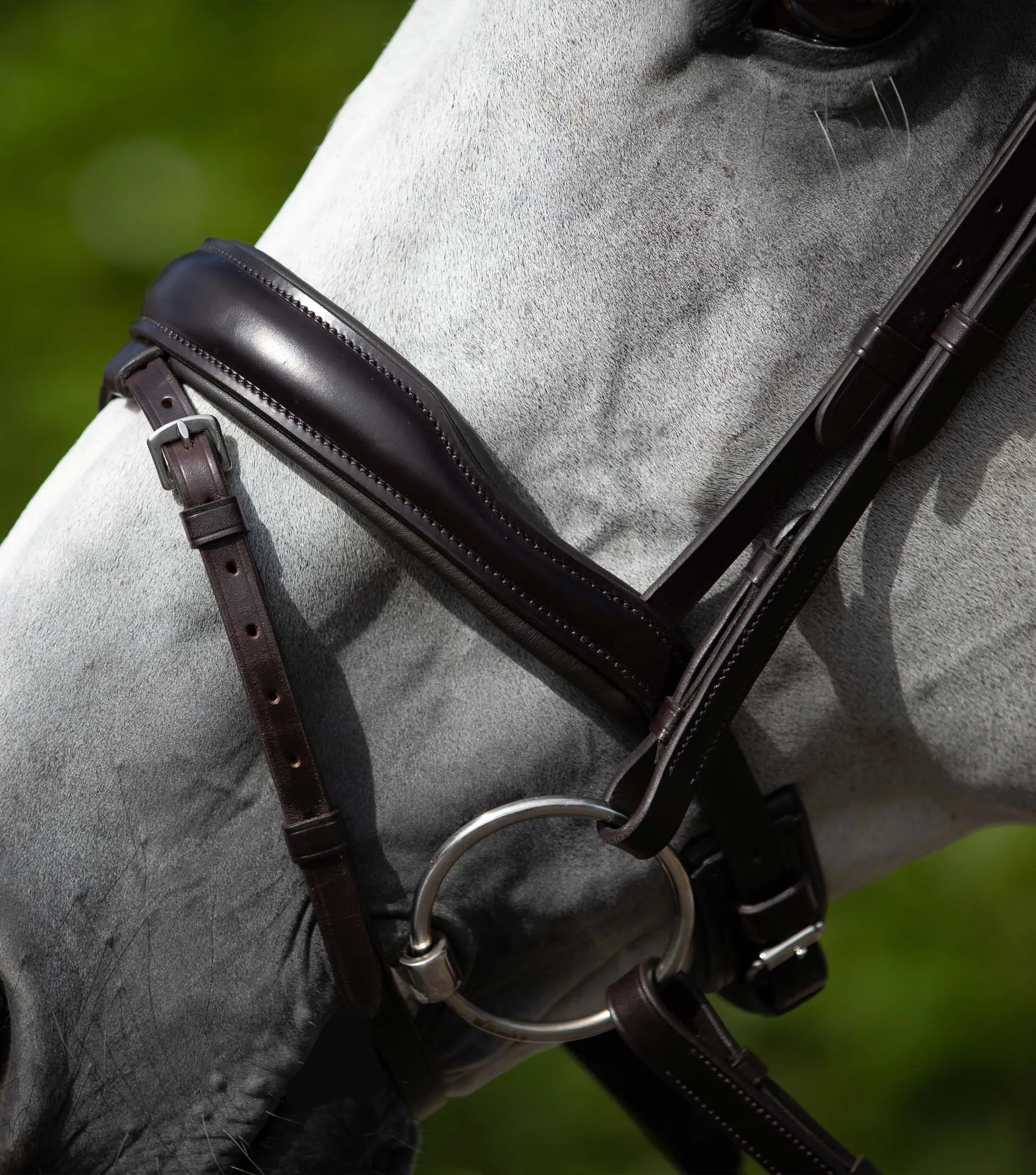 Blue Sweet Iron Loose Ring Mullen Mouth Snaffle