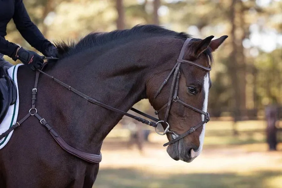 Correct Connect™ - Free Motion Breastplate