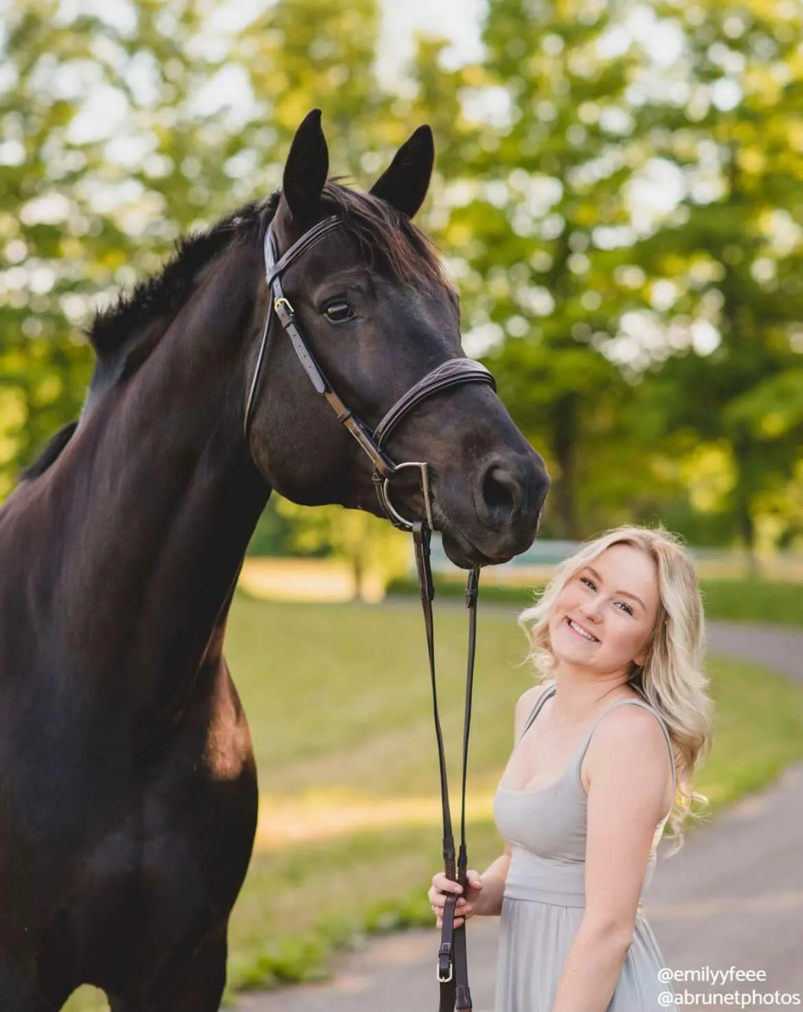 ExionPro Fancy Stitched Raised Anatomical Bridle with Reins without Flash