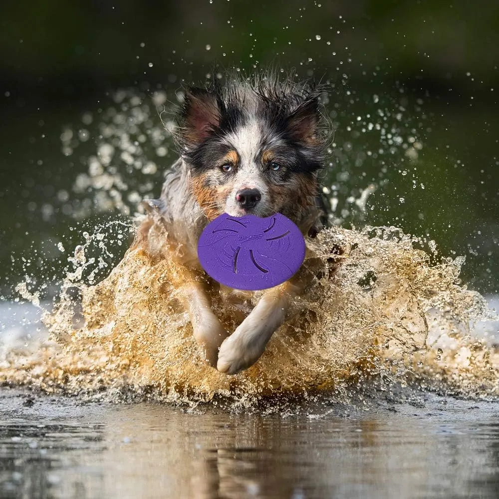 Indestructible Dog Flying Disc