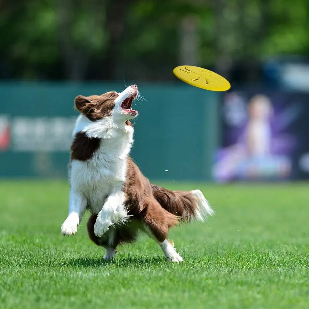 Indestructible Dog Flying Disc