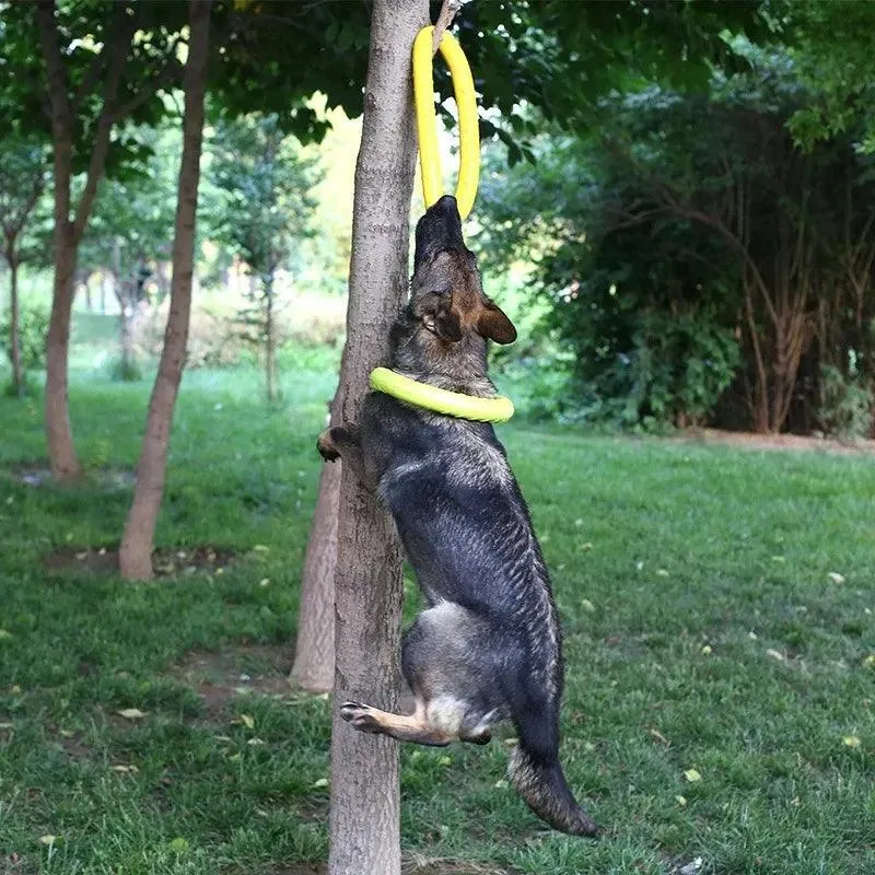 Interactive Dog Toy Flying Disk Training Play