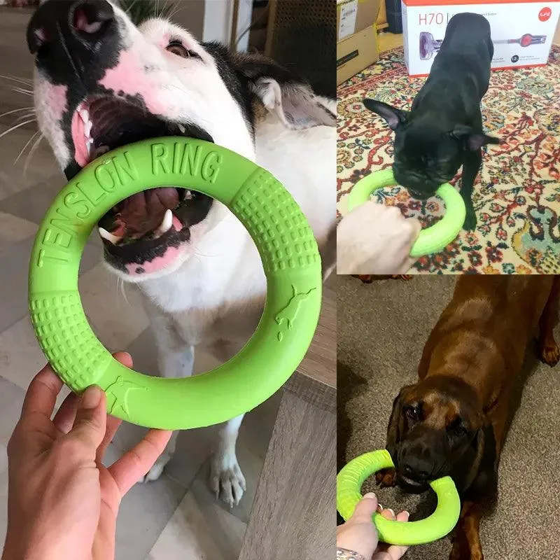 Interactive Dog Toy Flying Disk Training Play