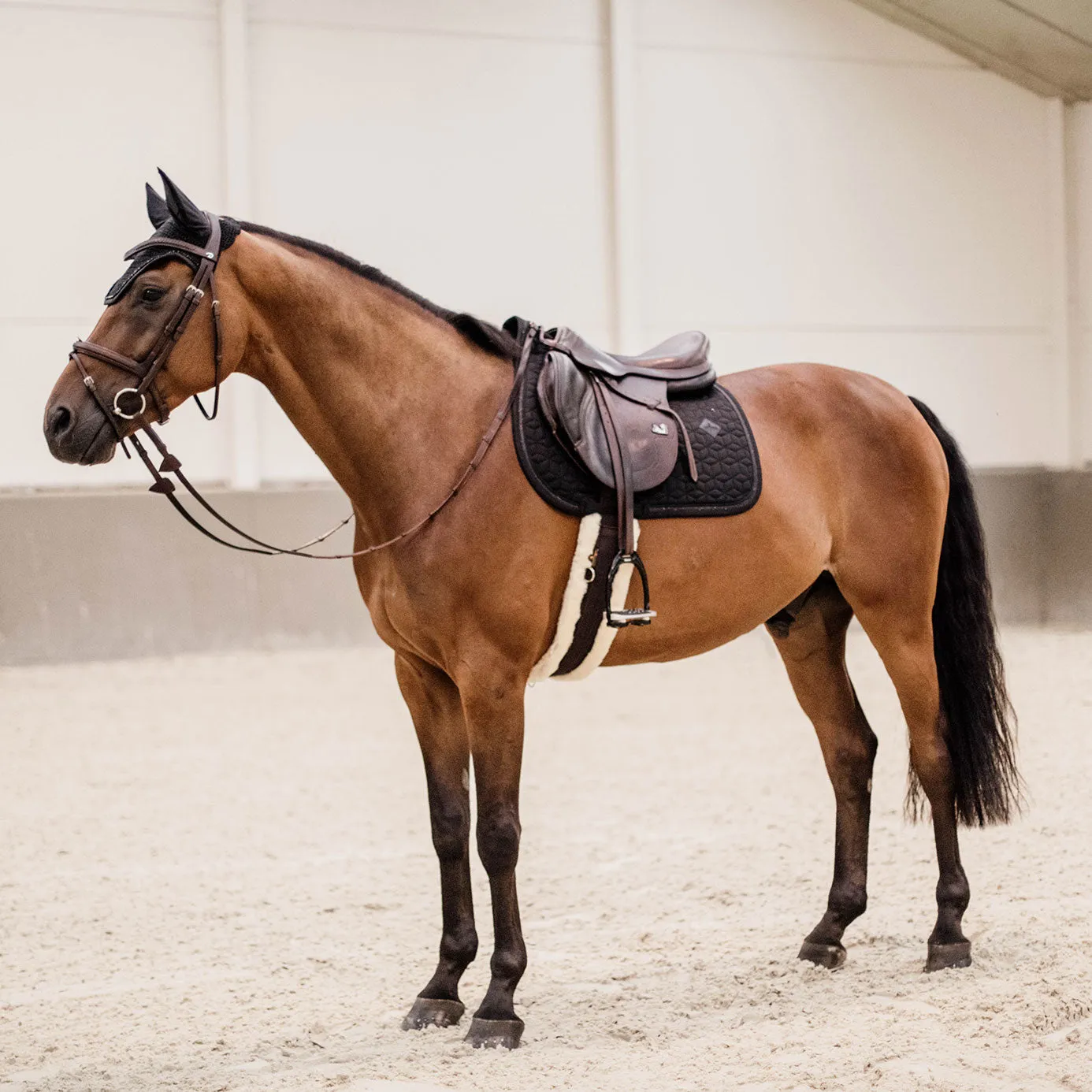 Kentucky Horsewear Glitter Rope Jumping Saddle Cloth - Black