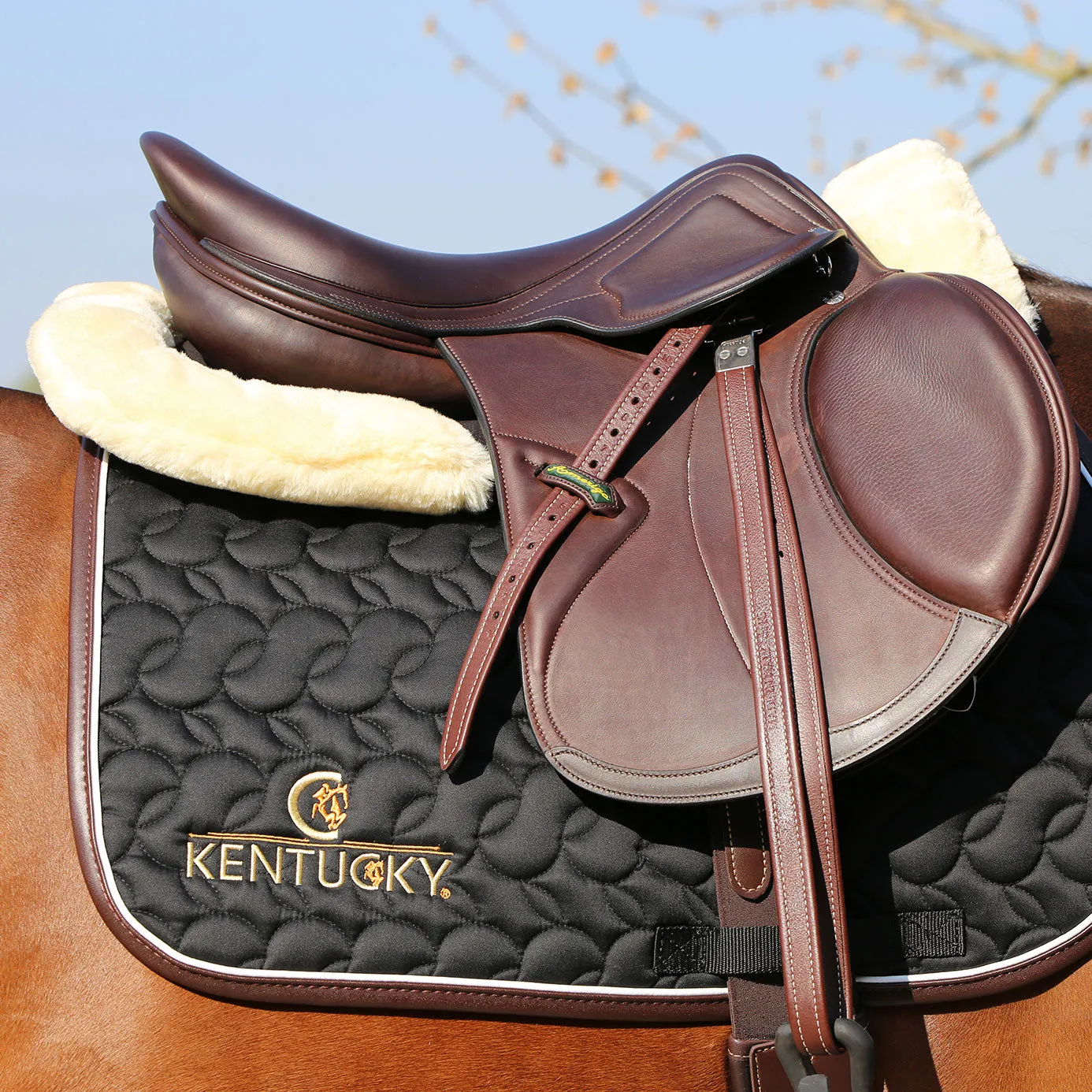 Kentucky Horsewear Logo Jumping Saddle Cloth - Black