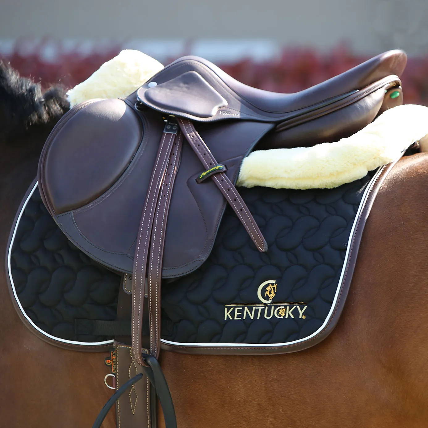 Kentucky Horsewear Logo Jumping Saddle Cloth - Black