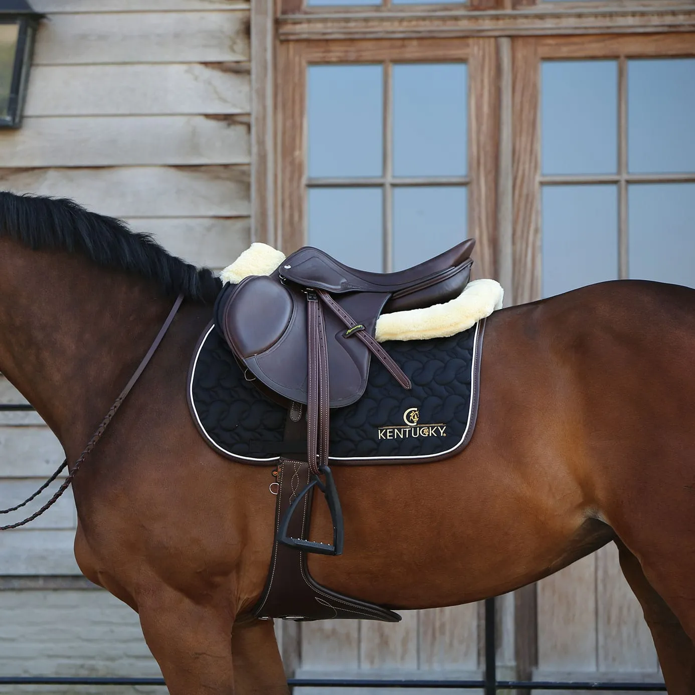 Kentucky Horsewear Logo Jumping Saddle Cloth - Black