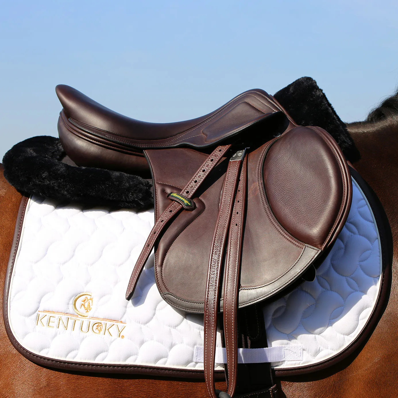 Kentucky Horsewear Logo Jumping Saddle Cloth - White