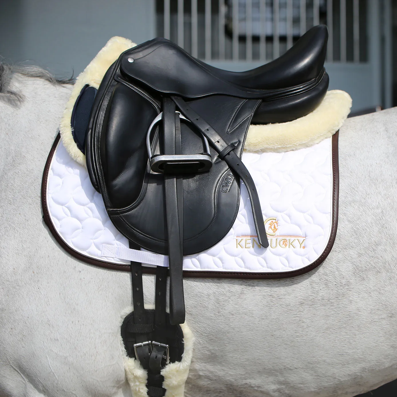 Kentucky Horsewear Logo Jumping Saddle Cloth - White