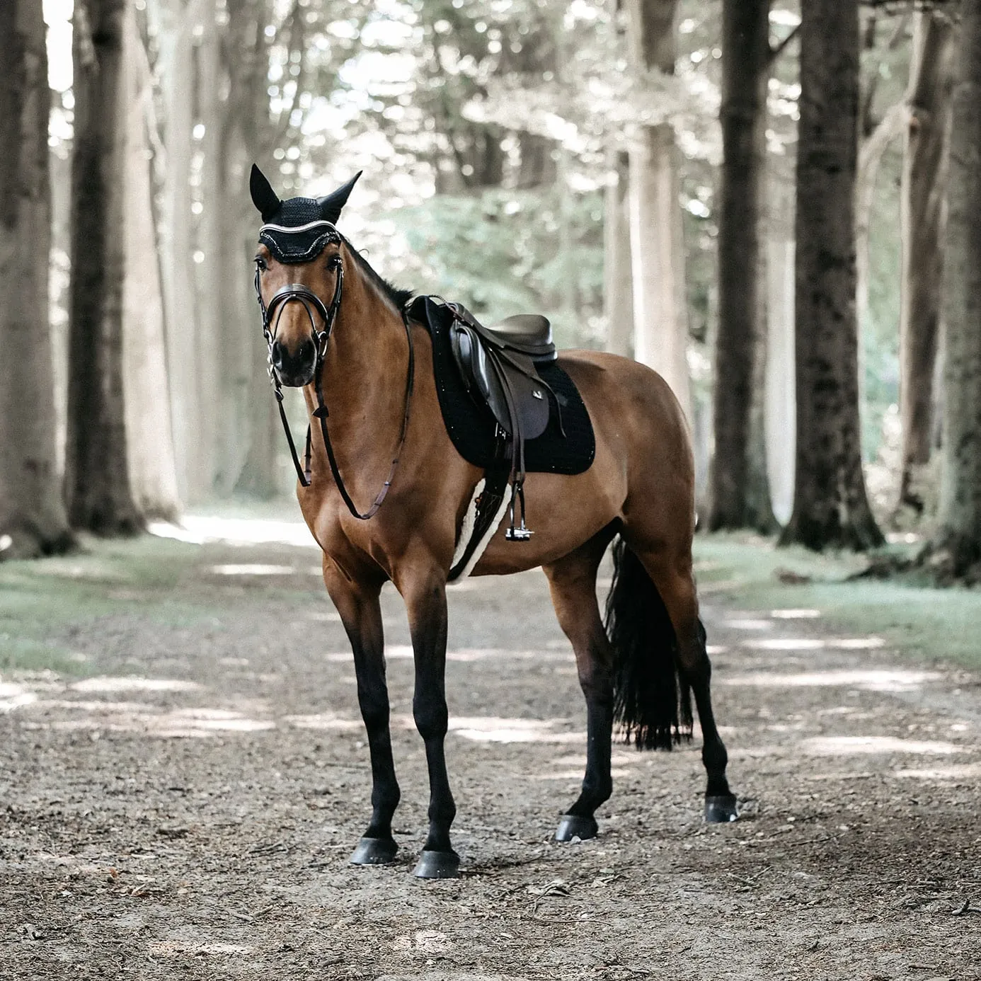 Kentucky Horsewear Pearls Jumping Saddle Cloth - Black