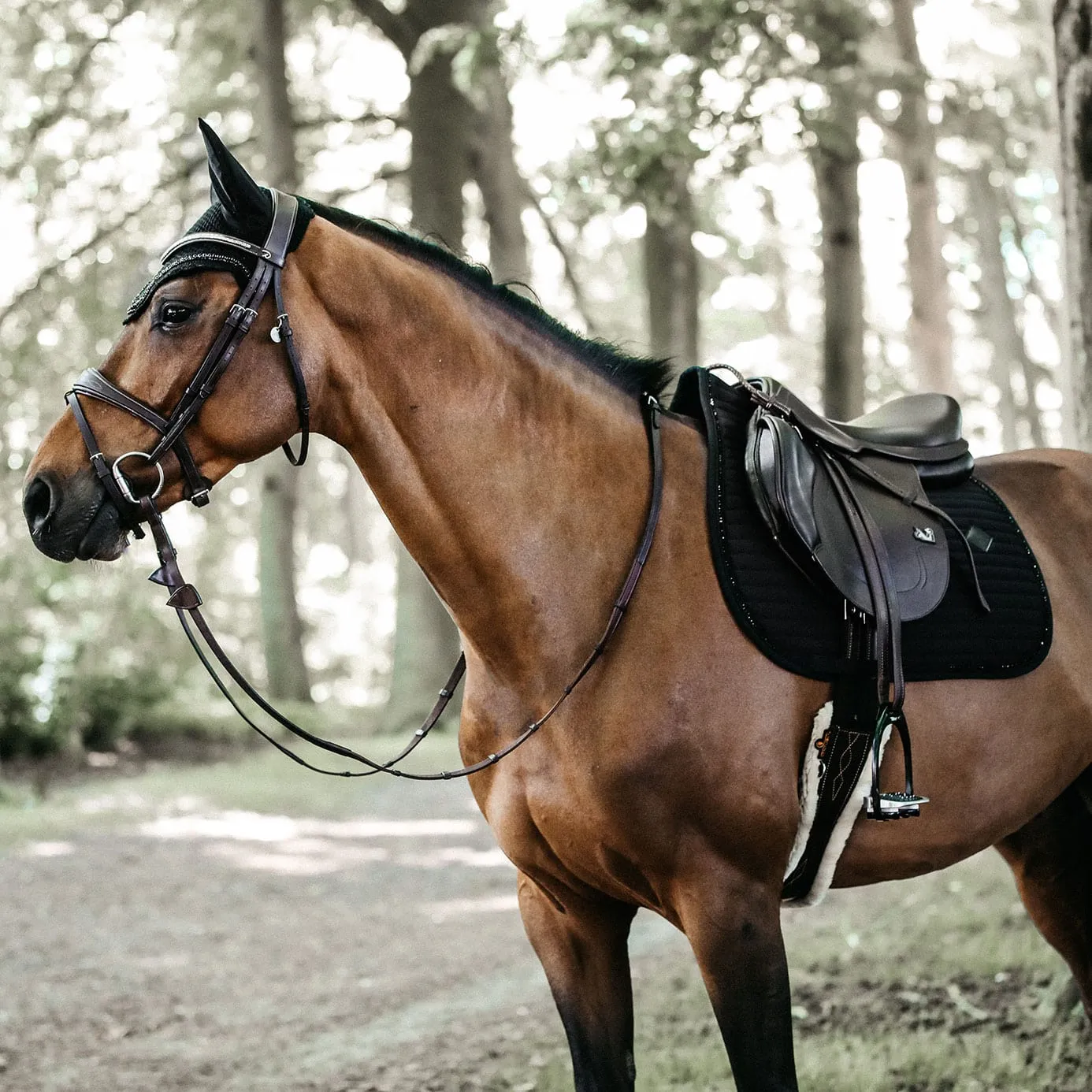 Kentucky Horsewear Pearls Jumping Saddle Cloth - Black