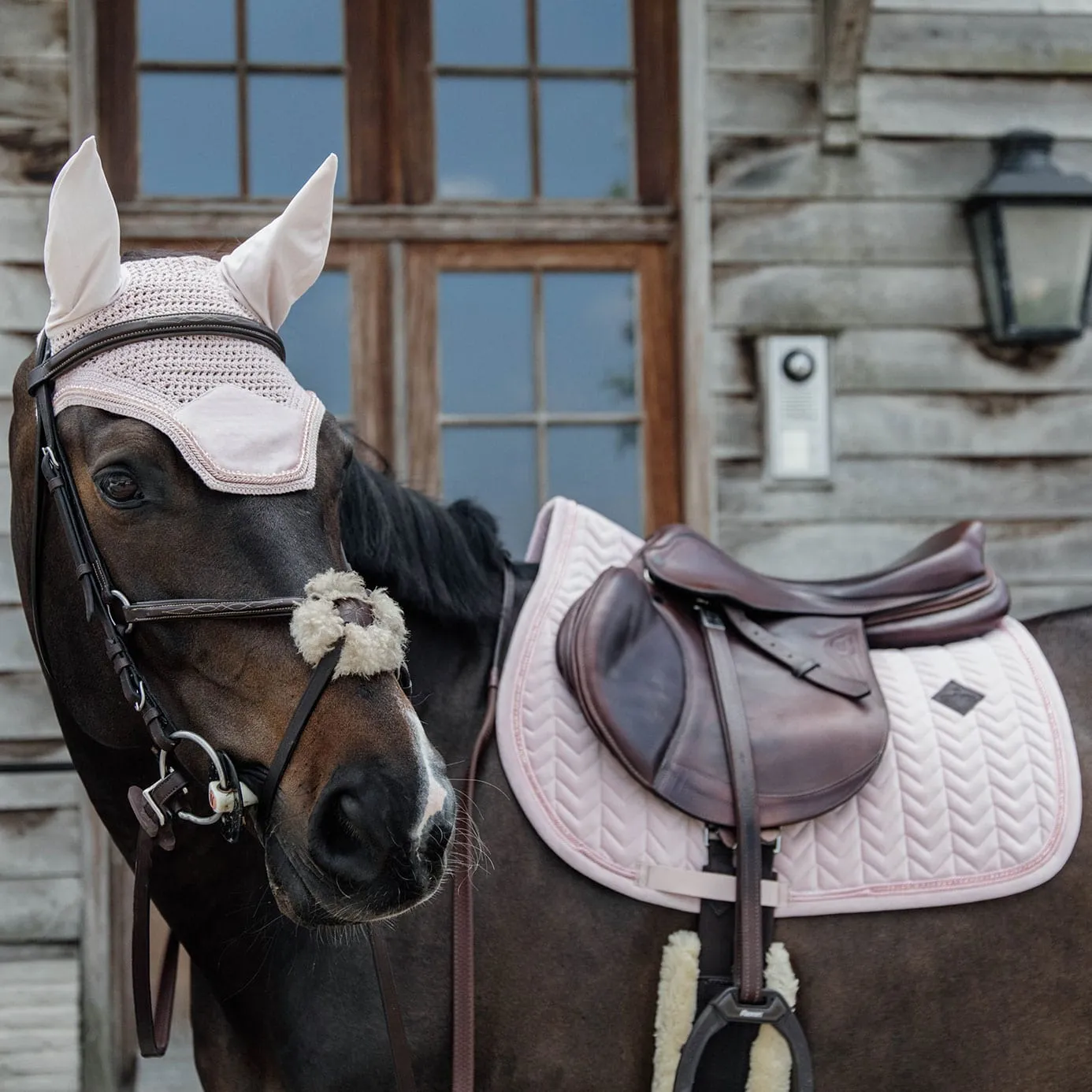 Kentucky Horsewear Velvet Pearls Jumping Saddle Cloth - Soft Rose