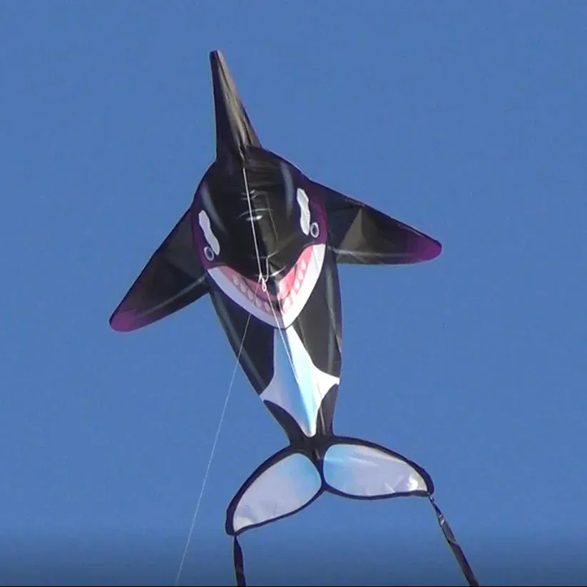 Orca SeaLife Kite