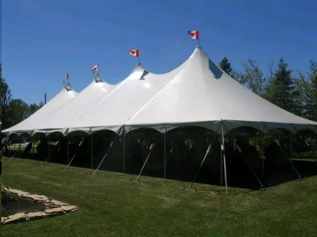 Pole Tent 40' x 100' White