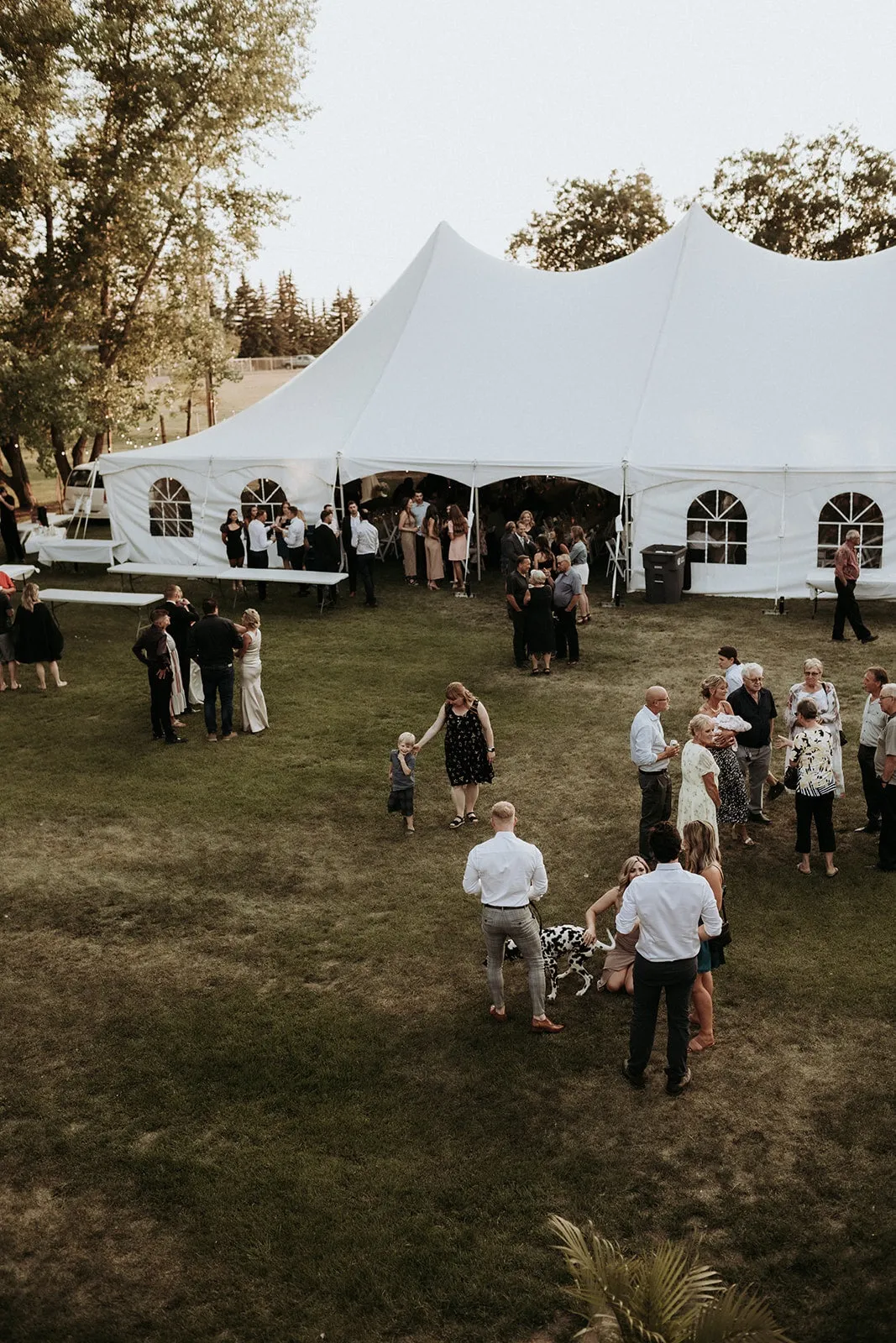 Pole Tent 40' x 100' White