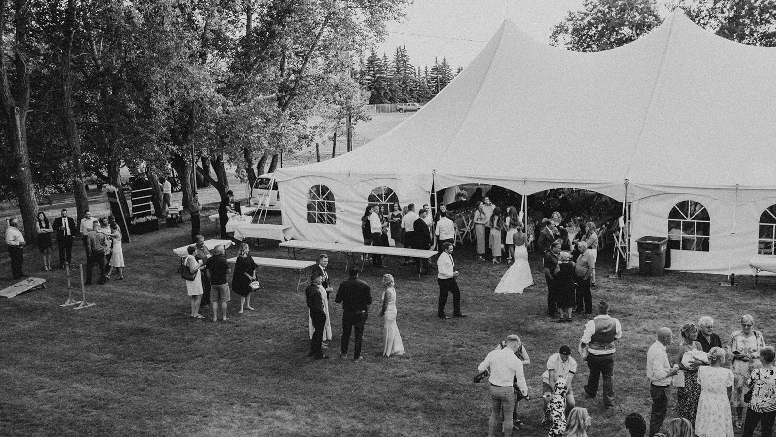 Pole Tent 40' x 100' White