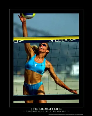 "The Beach Life" (At the Net) - SportsPosterWarehouse.com