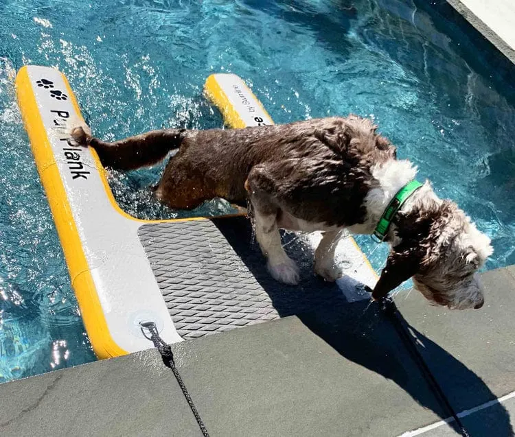 Solstice Inflatable Pup Plank XL