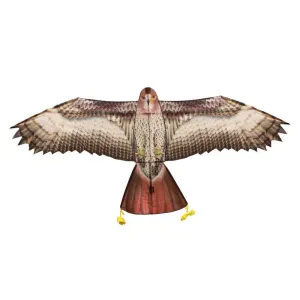 Supersized Bird of Prey - 70" Hawk Kite