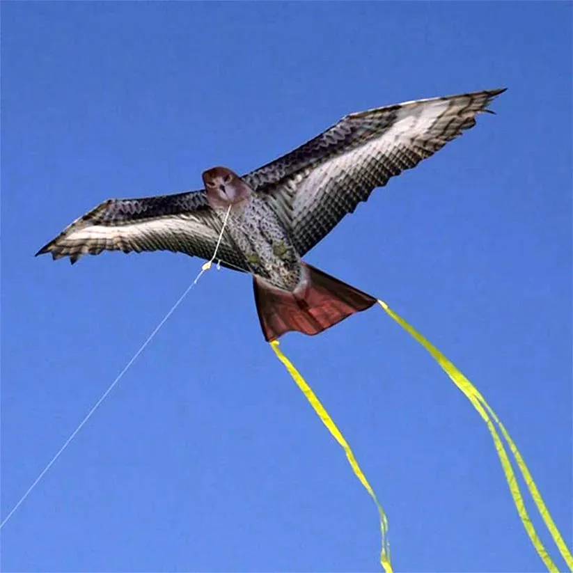 Supersized Bird of Prey - 70" Hawk Kite